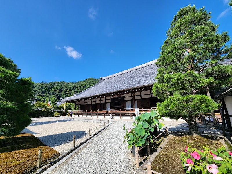 Visite du Tenryu-ji Temple – Arashiyama, Kyoto (photo 3)