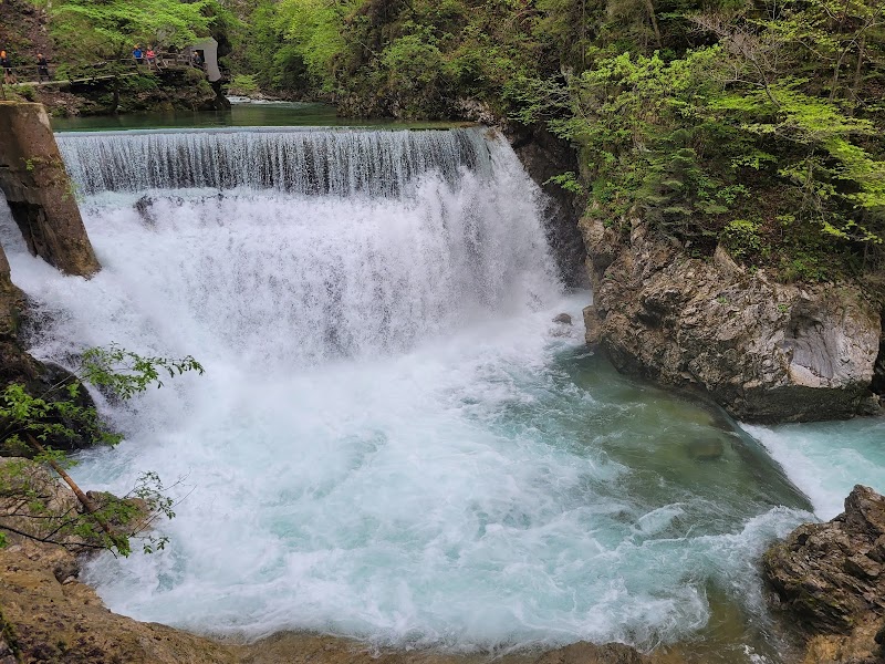 Visite du Vintgar Gorge – Vintgar Gorge, Bled, Slovénie (photo 3)