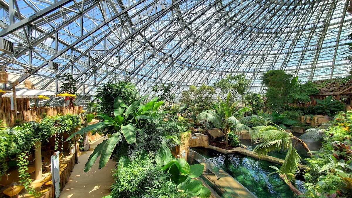 Visite du ZooParc de Beauval – Avenue du Blanc, 41110 Saint-Aignan (photo 1)