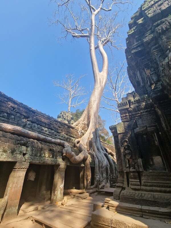 Visite guidée des temples d'Angkor (Big circuit) – Angkor (photo 1)