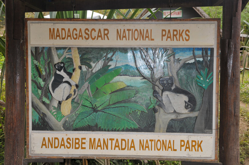 Visite nocturne Andasibe – Andasibe-Mantadia (photo 1)