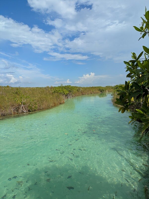 Visite Sian Ka'an Biosphere – Sian Ka'an, Tulum, Mexique (photo 1)