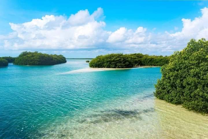 Visite Sian Ka'an Biosphere – Sian Ka'an, Tulum, Mexique (photo 2)