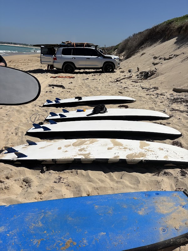Waves Surf School – 41 Gould St, Bondi Beach NSW 2026, Australia (photo 2)