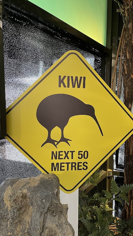 West Coast Wildlife Centre – Corner Cowan & Cron Streets, Franz Josef, Nouvelle-Zélande (photo 2)