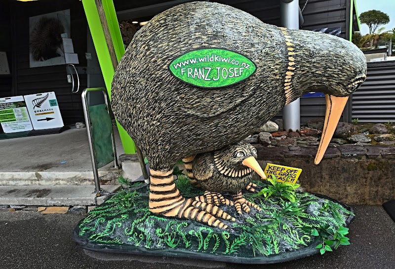 West Coast Wildlife Centre – Corner Cowan & Cron Streets, Franz Josef, Nouvelle-Zélande (photo 3)
