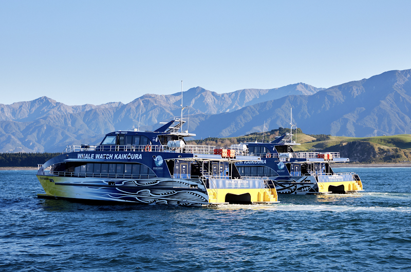 Whale Watch Kaikoura – Whaleway Station Road, Kaikoura, Nouvelle-Zélande (photo 2)