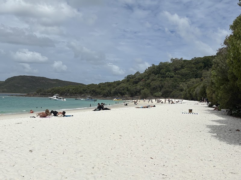 Whitehaven Beach Half Day Tour – Whitsunday Islands, QLD, Australie (photo 3)