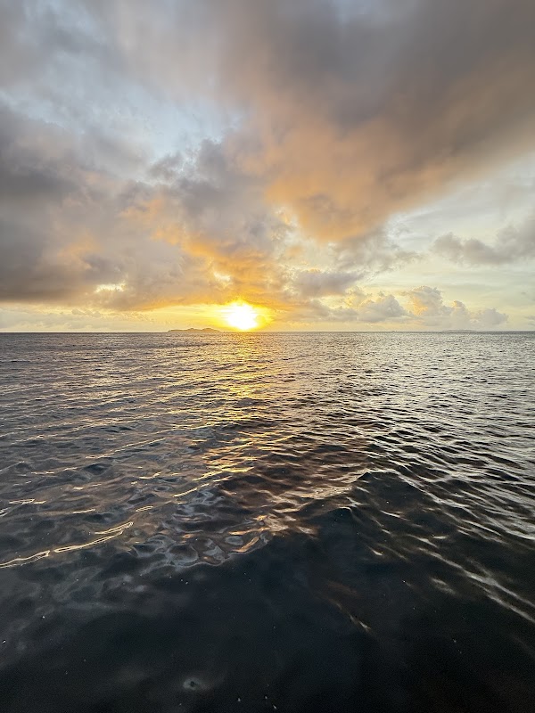 Whitsundays Sailing Adventures – Shop 8/390 Shute Harbour Rd, Airlie Beach QLD 4802, Australia (photo 3)