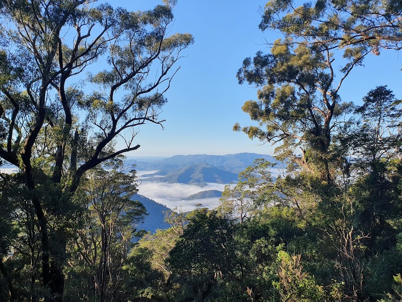 Wollumbin National Park – Mount Warning NSW 2484, Australia (photo 2)