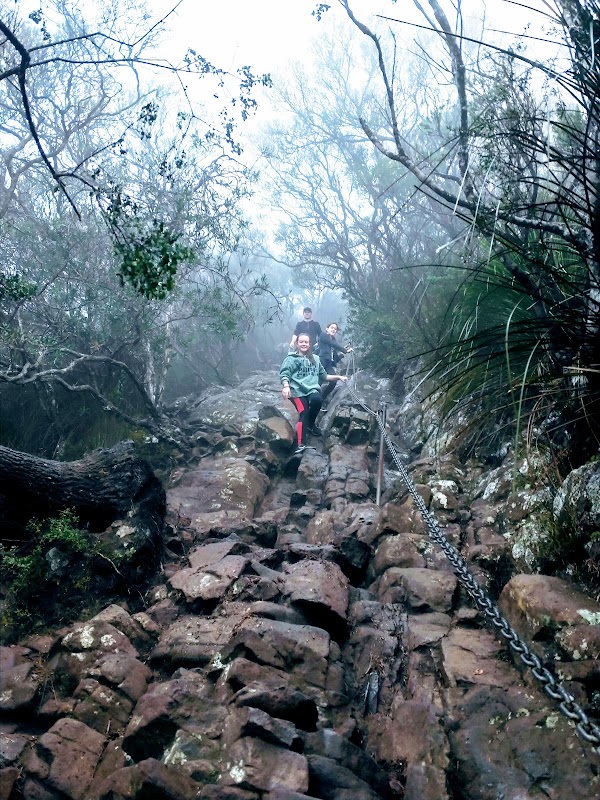 Wollumbin National Park – Mount Warning NSW 2484, Australia (photo 3)
