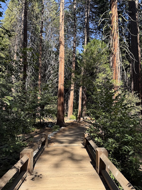 Yosemite Falls Viewing – Yosemite Valley (photo 2)
