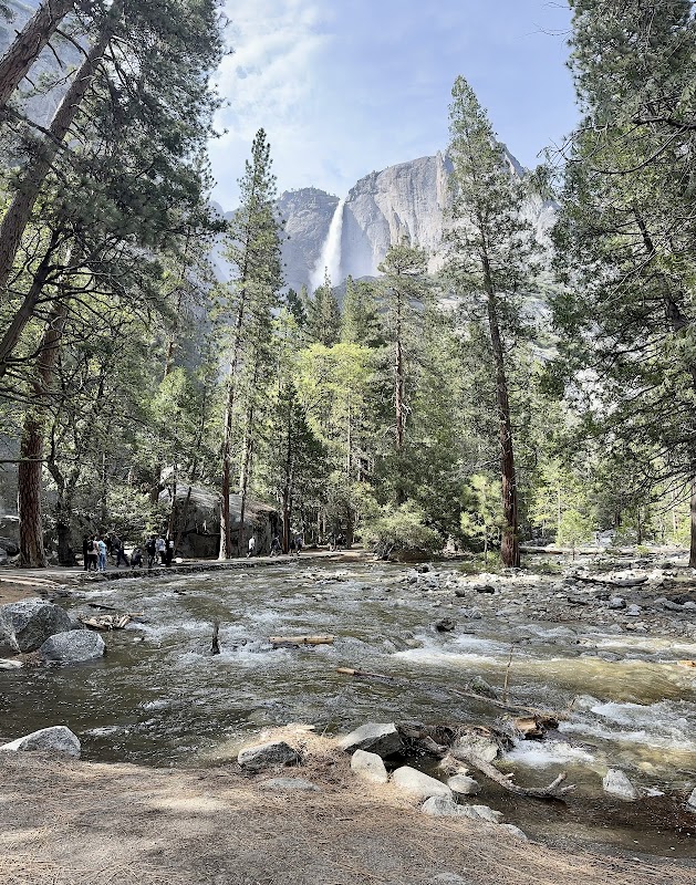 Yosemite Falls Viewing – Yosemite Valley (photo 3)