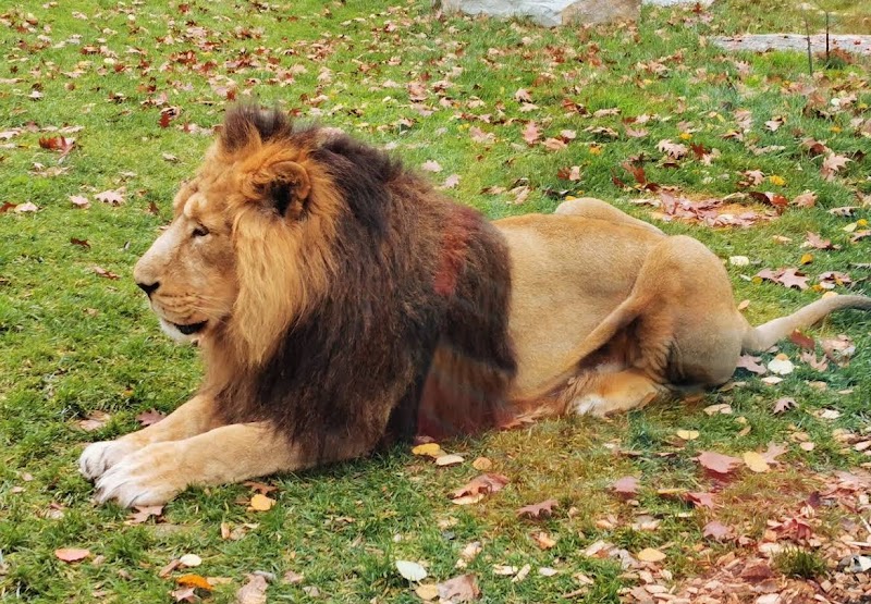 Zoo de Ljubljana – Parc Tivoli, Ljubljana (photo 3)