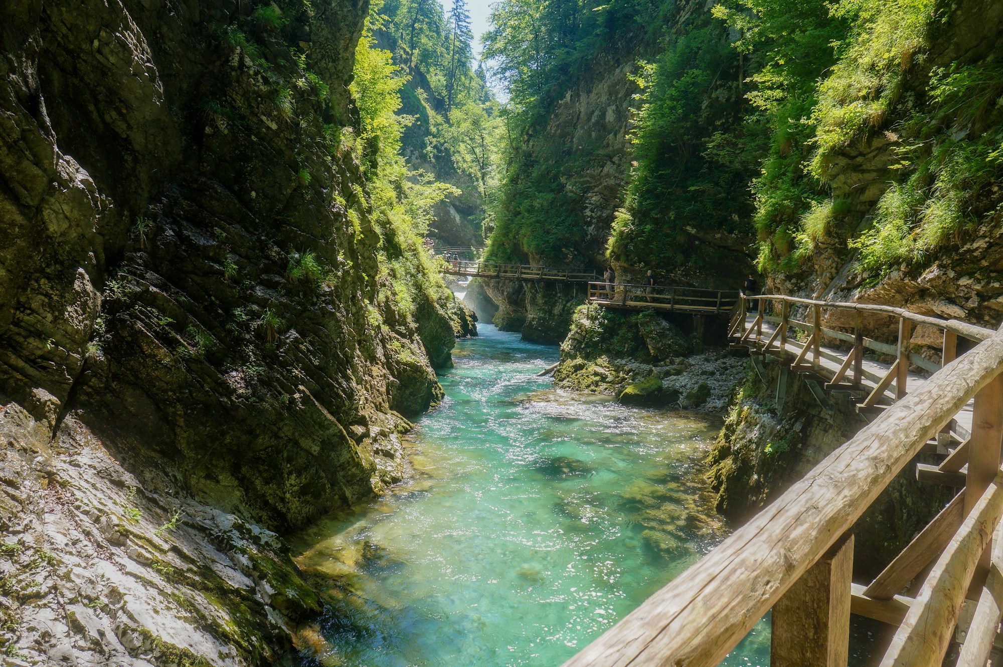 Passerelle en bois longeant une rivière turquoise dans les gorges de Vintgar, Bled, Slovénie