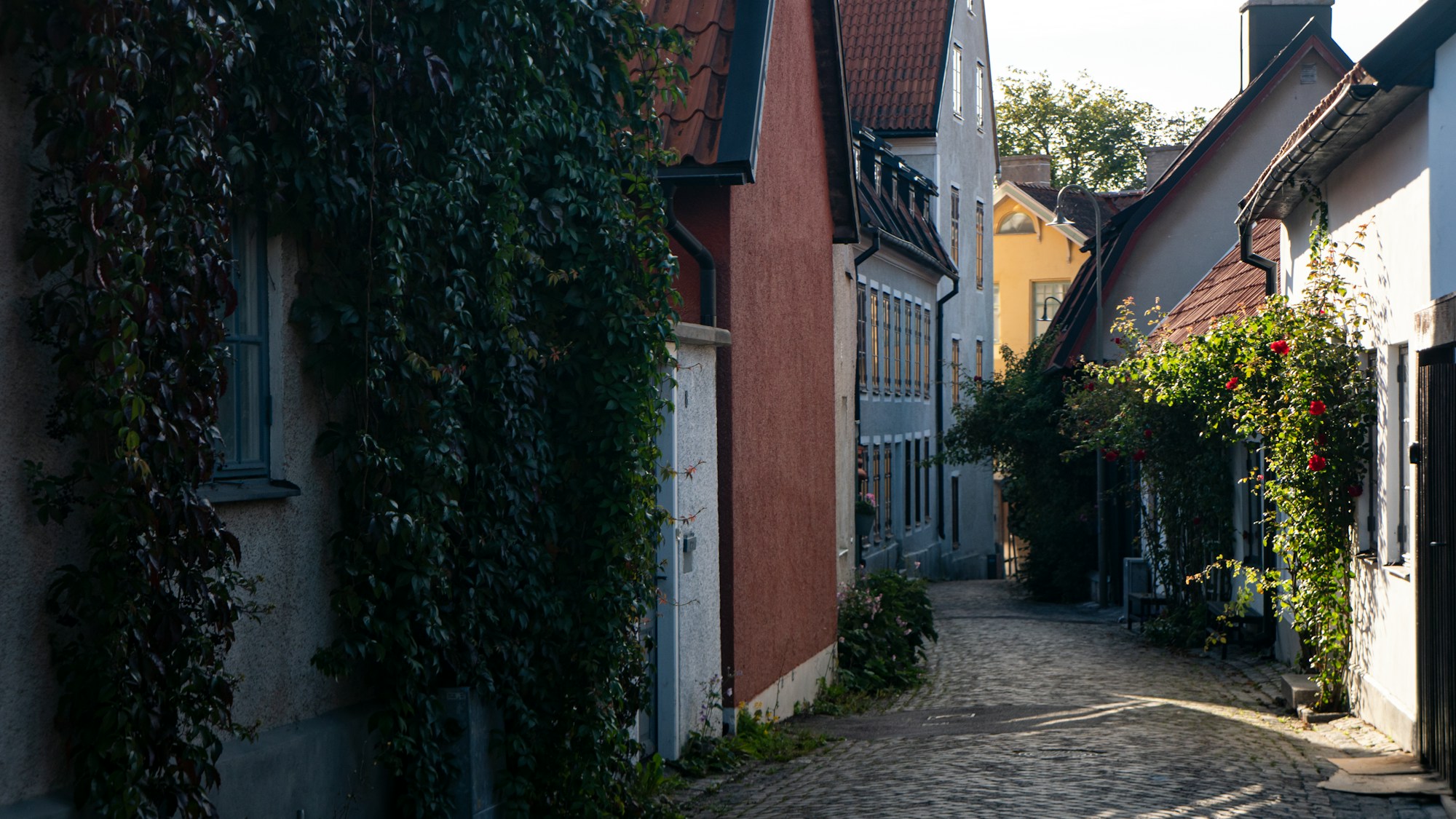 Rue pavée médiévale de Visby, Gotland, Suède — architecture historique du centre-ville