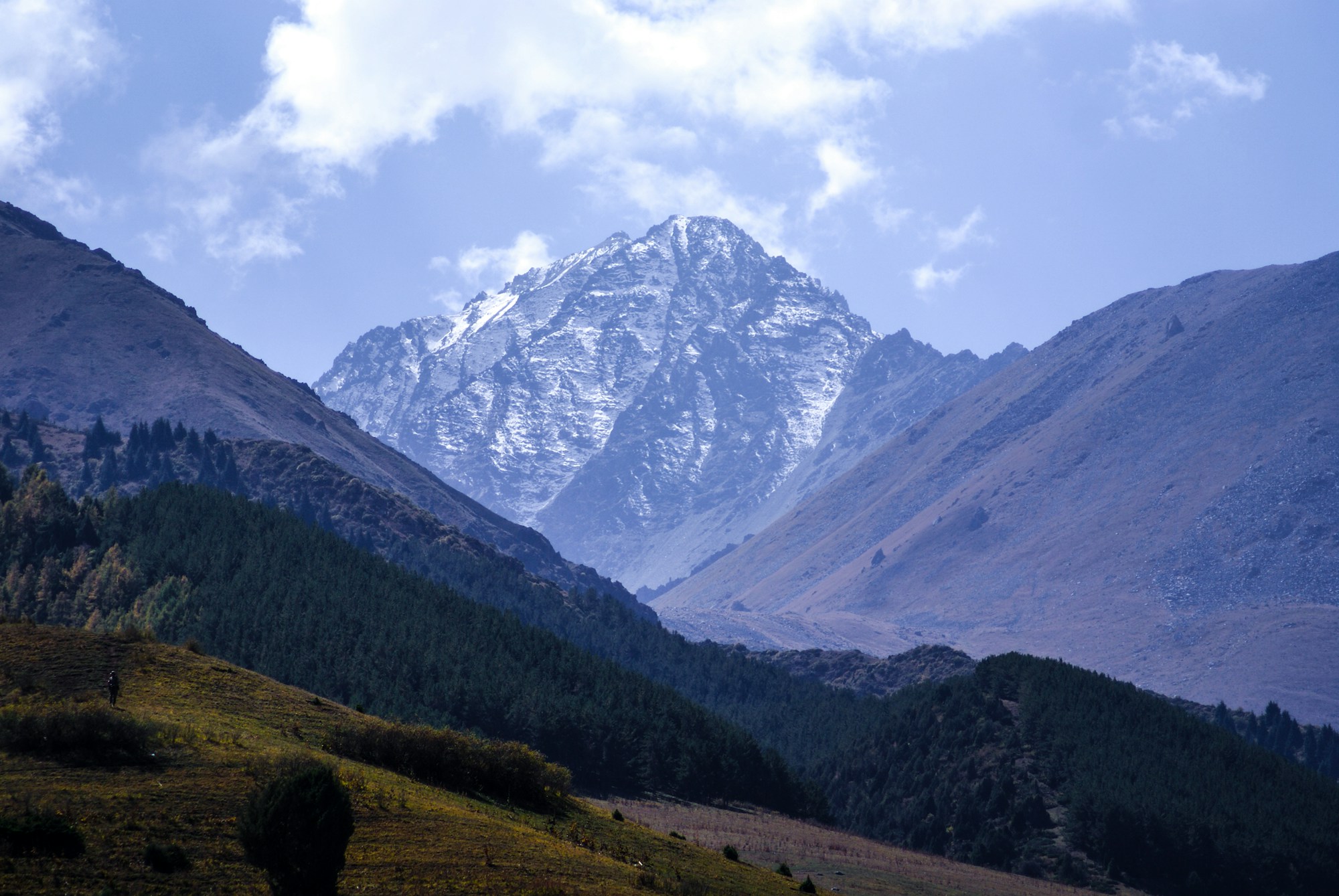 Chaîne de montagnes enneigées du Tian Shan avec prairies fleuries au premier plan