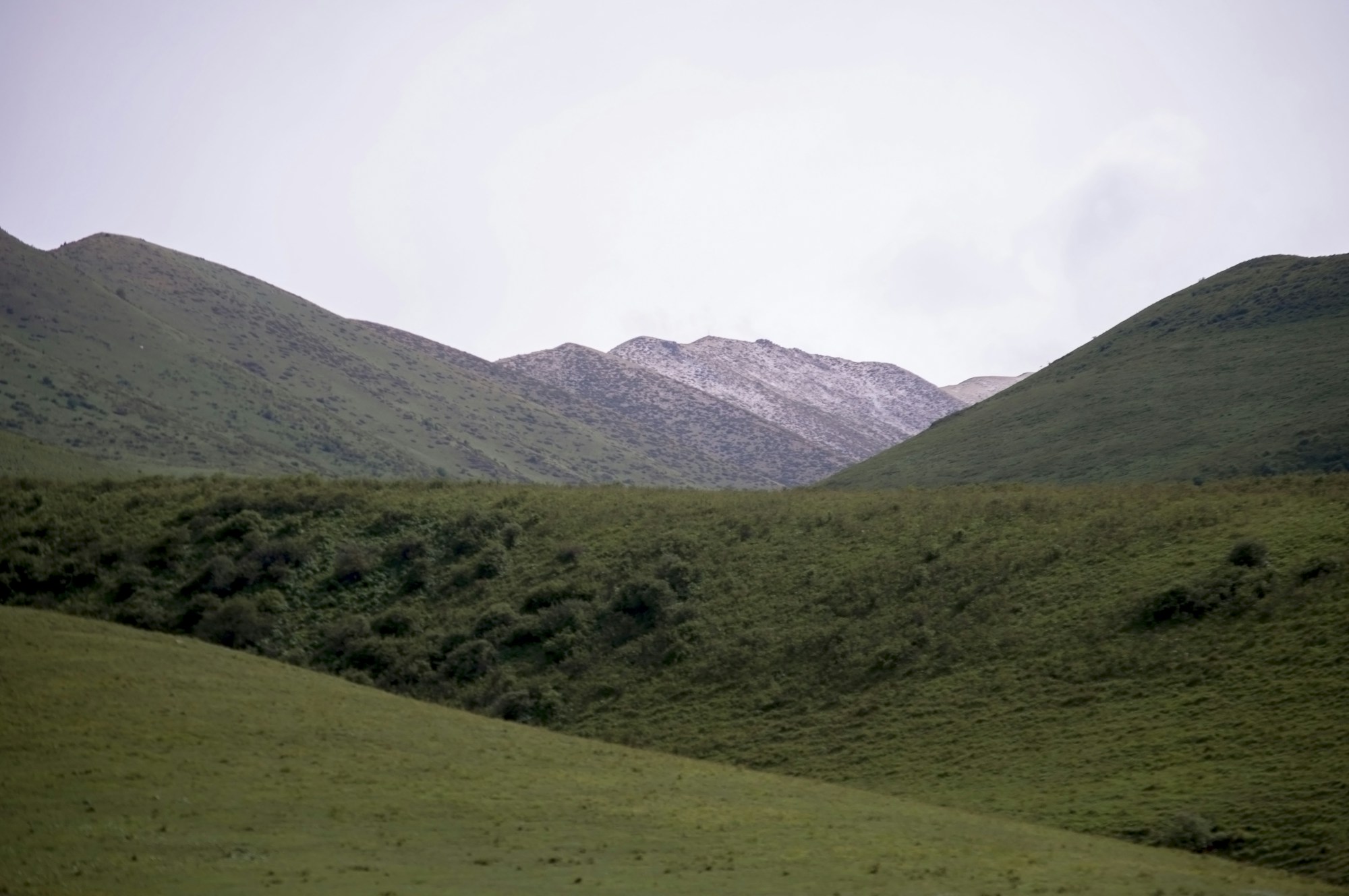 Pâturages alpins et sommets enneigés au Kirghizistan