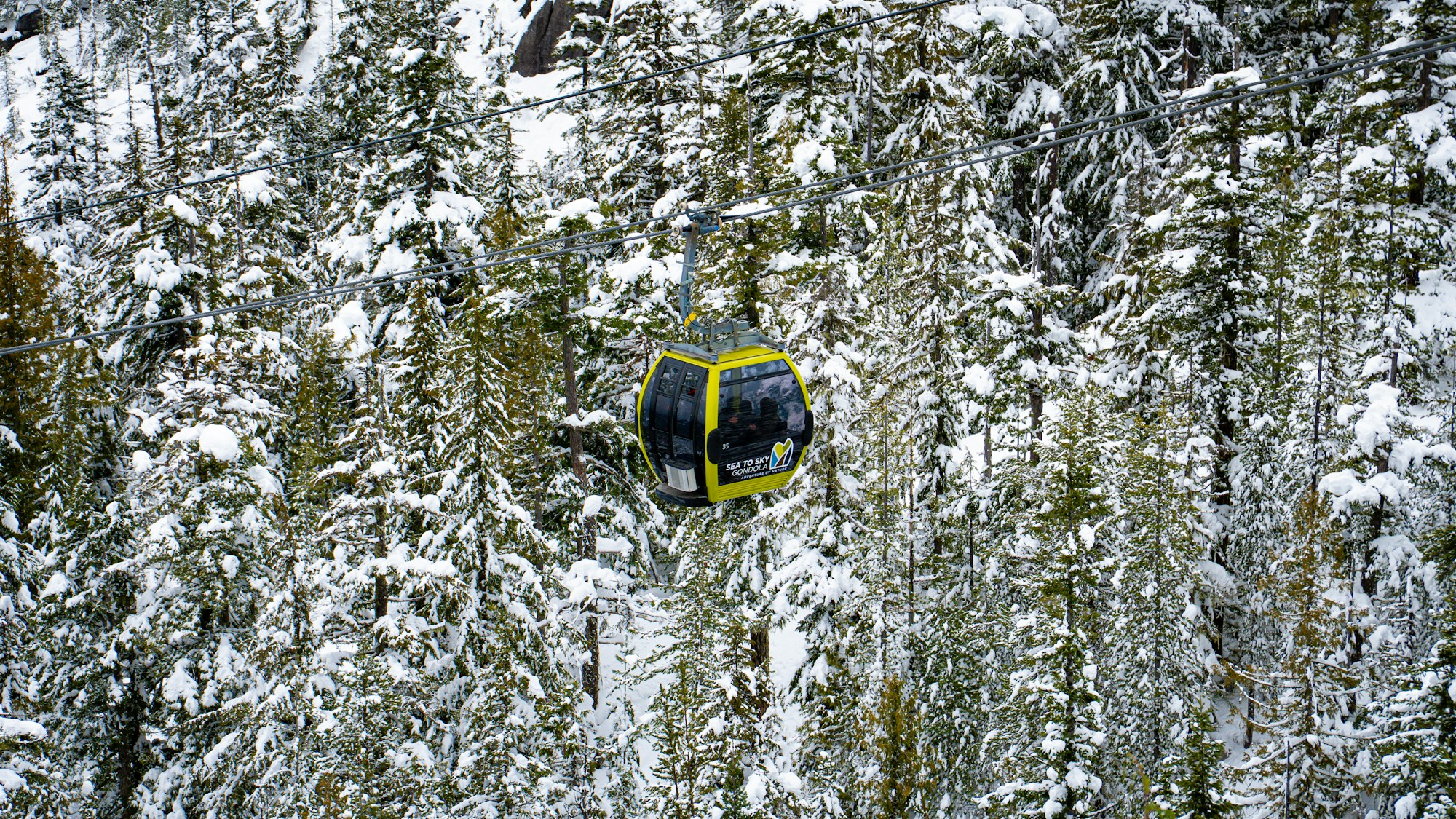 Gondola travelling through a snow-covered forest in the mountains of British Columbia