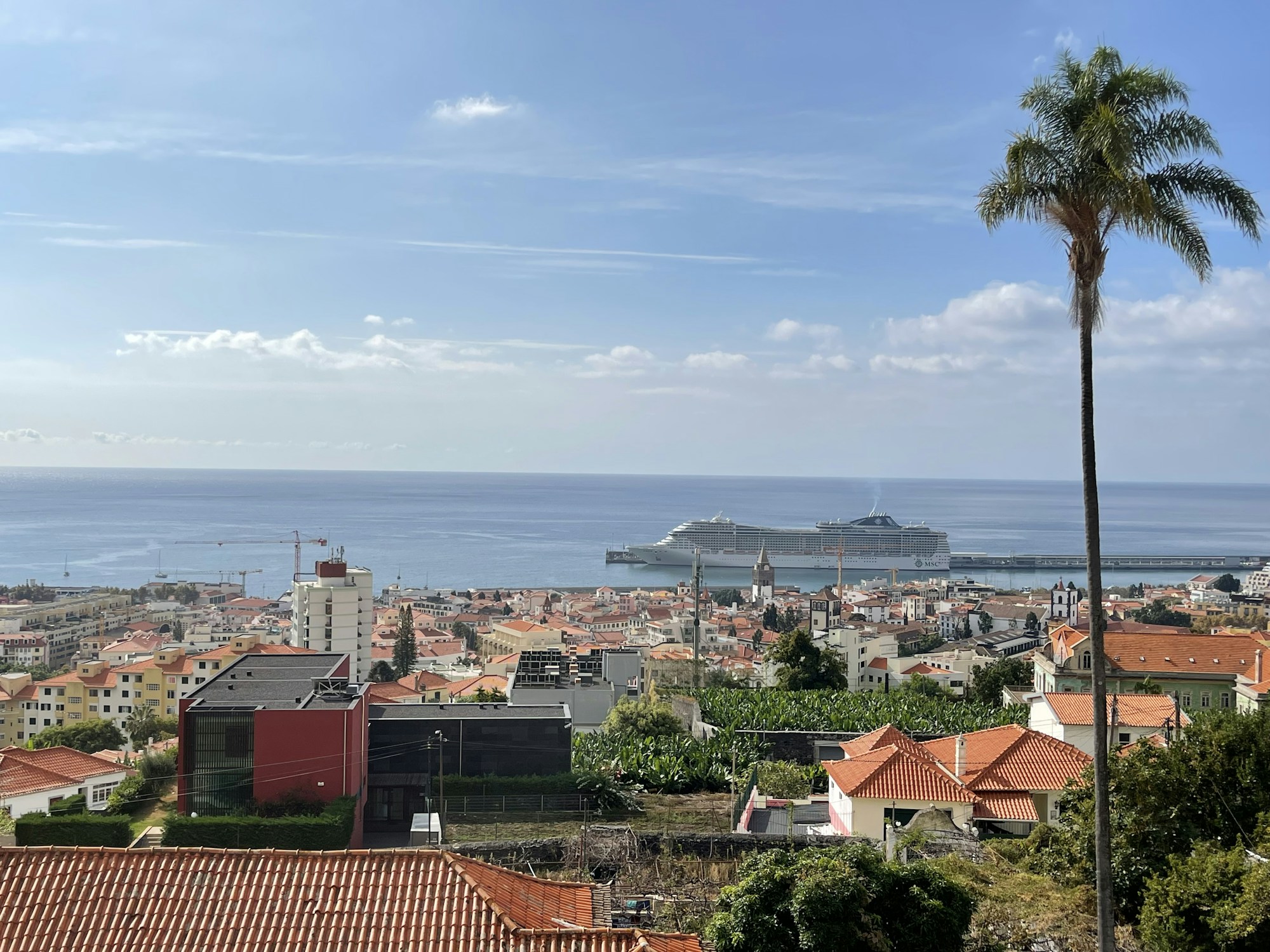 Panoramic view of Funchal, capital of Madeira, with its colorful rooftops and the Atlantic Ocean