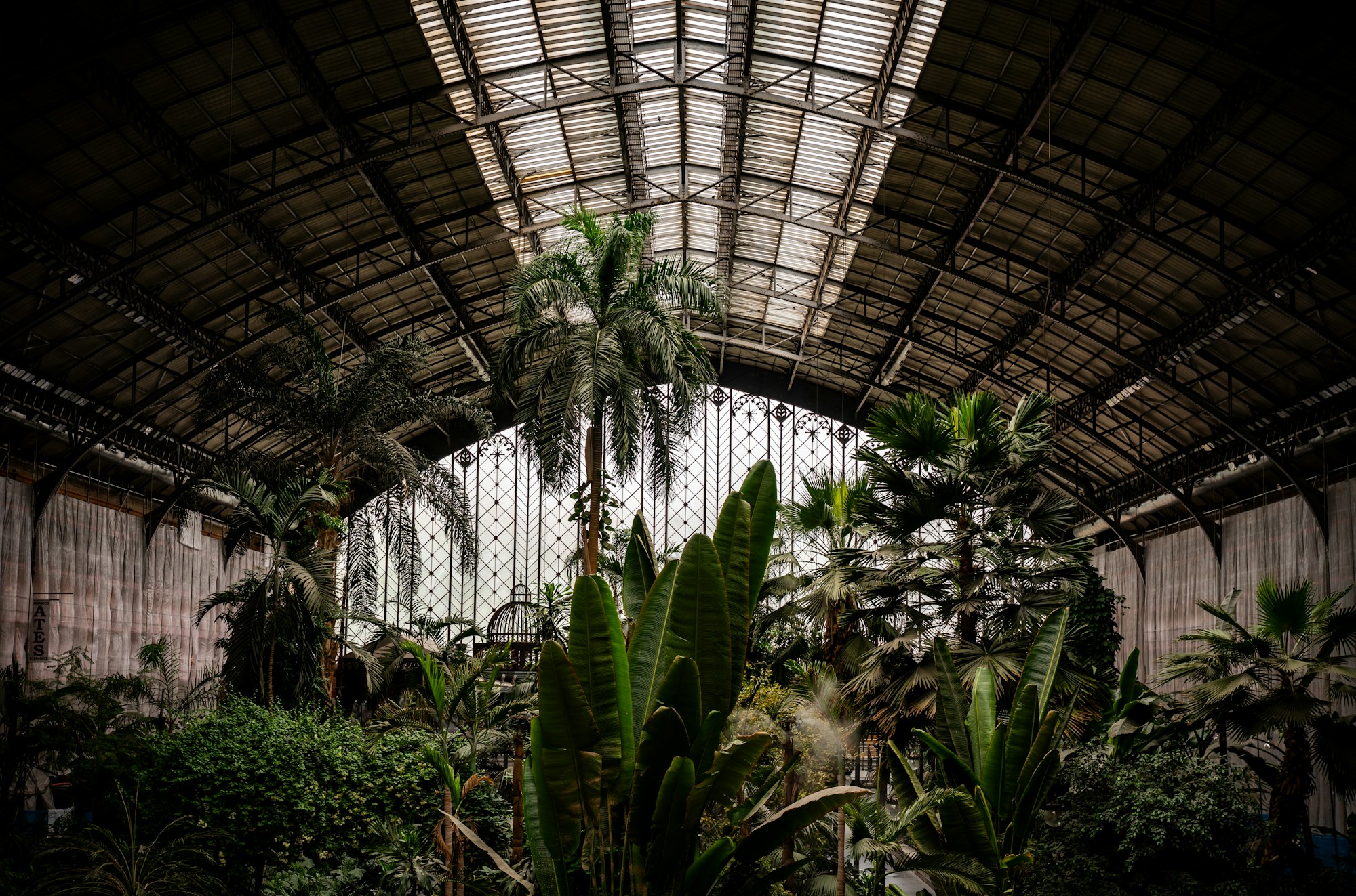 Jardin tropical intérieur de la gare Madrid Atocha, hub central du réseau AVE espagnol