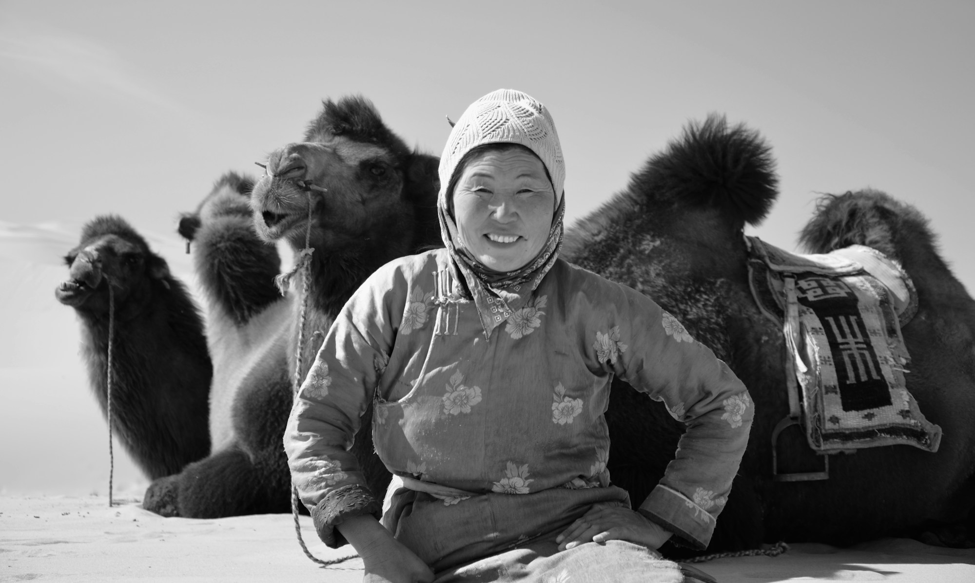 Femme mongole et ses chameaux de Bactriane dans le désert de Gobi, Mongolie