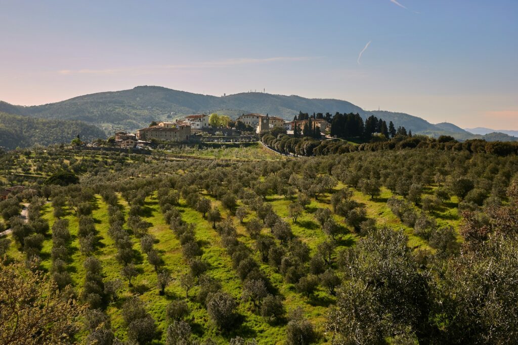 Paysage typique de la campagne toscane avec cyprès et oliviers