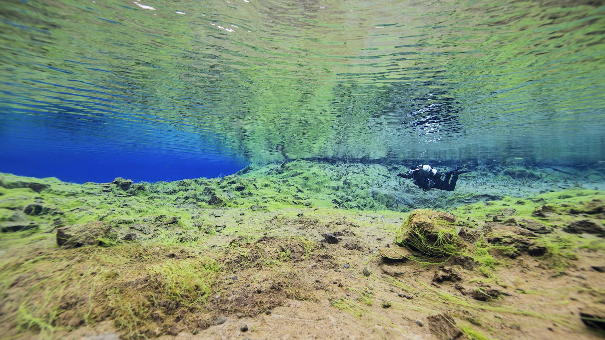 Plongée sous-marine dans la faille de Silfra en Islande, eaux cristallines d'une visibilité de 100 mètres entre les plaques tectoniques eurasienne et américaine