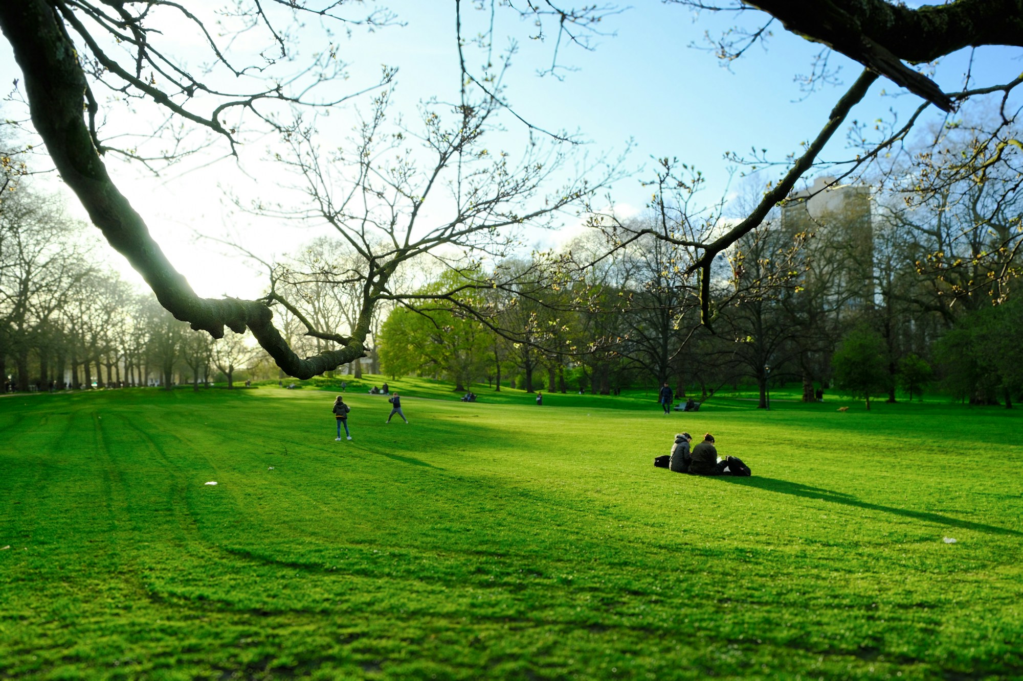 Parc ensoleillé au printemps, l'atmosphère parfaite des ponts de mai