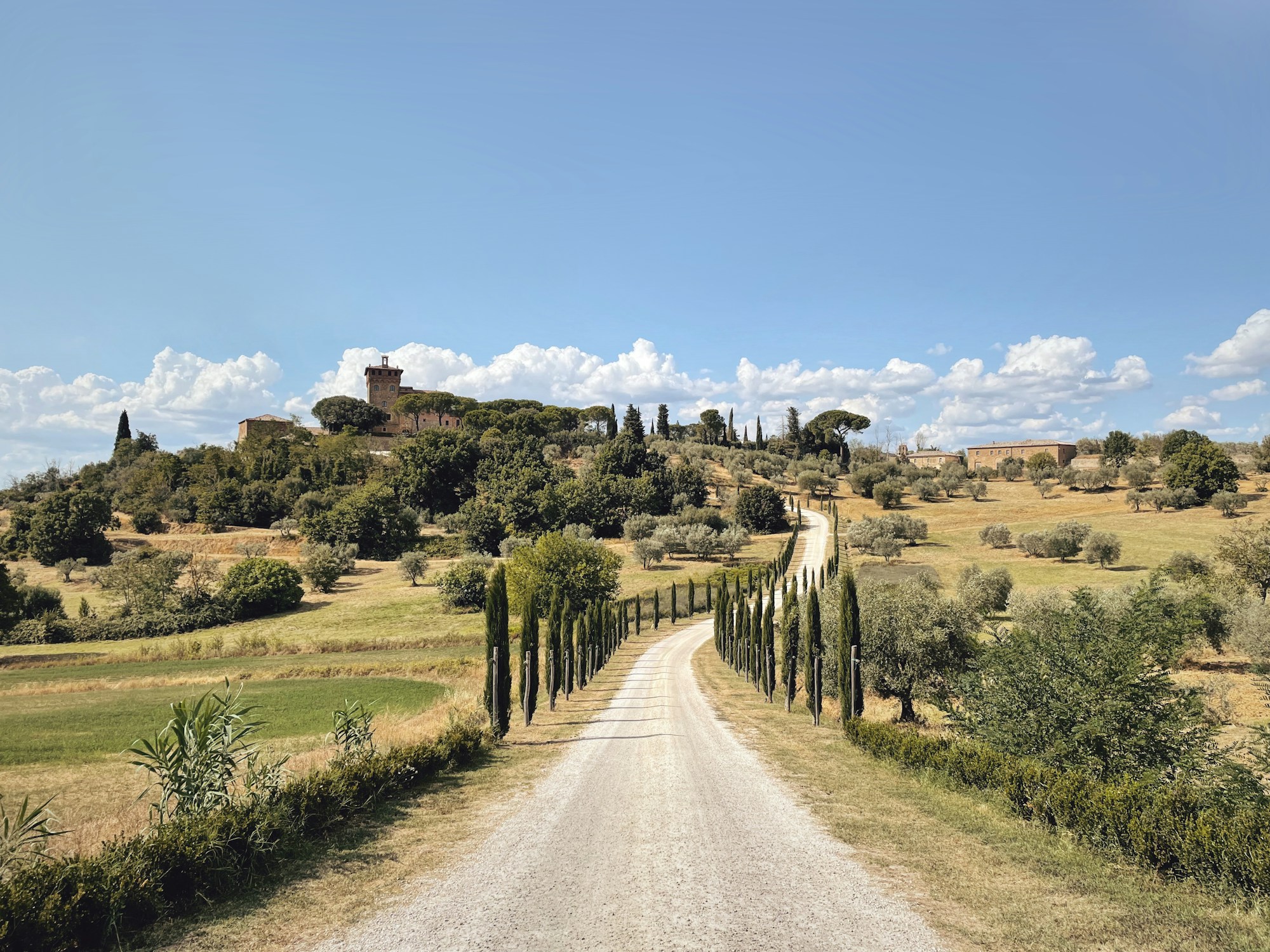 Collines toscanes et vignobles en Toscane au printemps