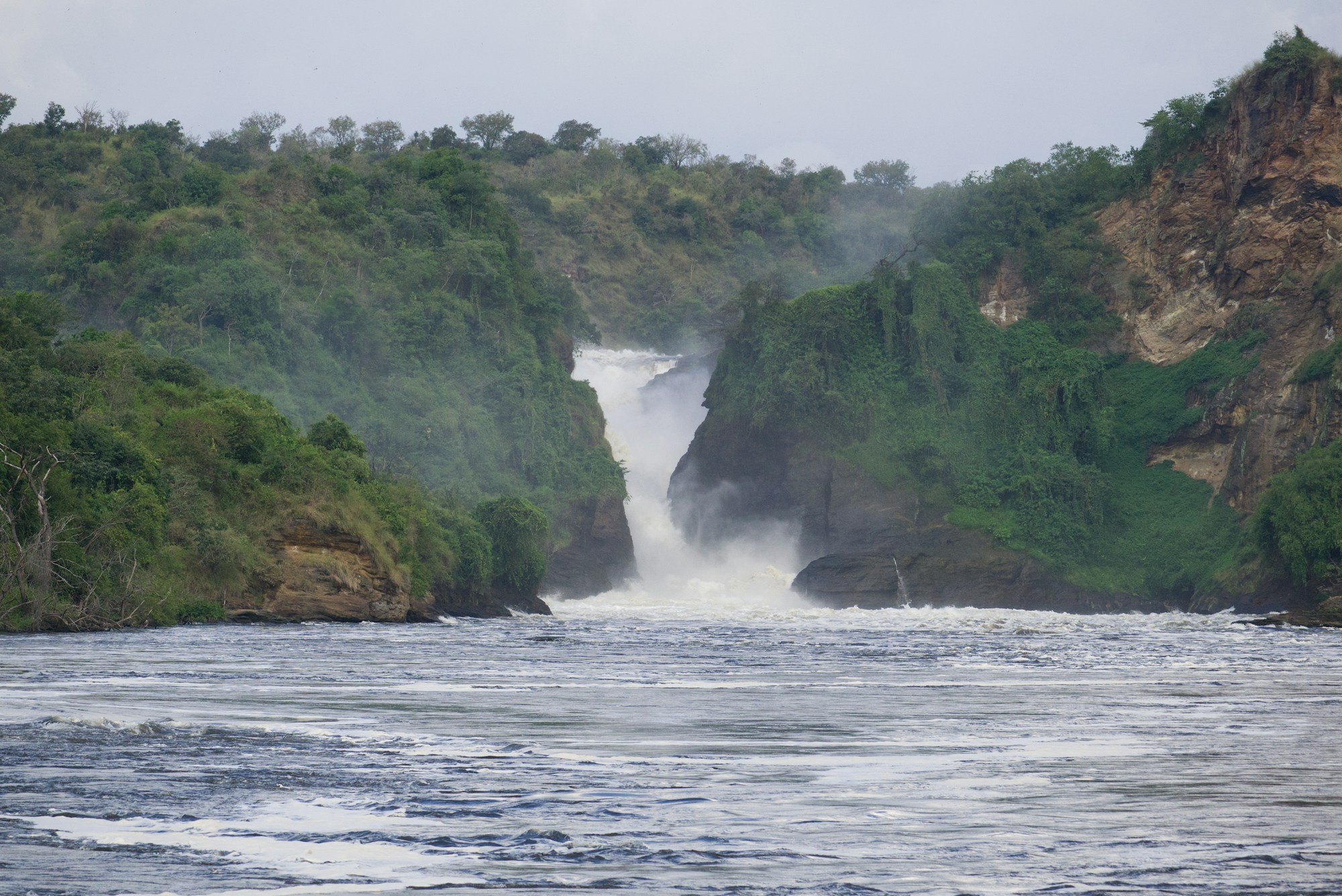 Paysage sauvage de lac africain avec végétation tropicale et oiseaux