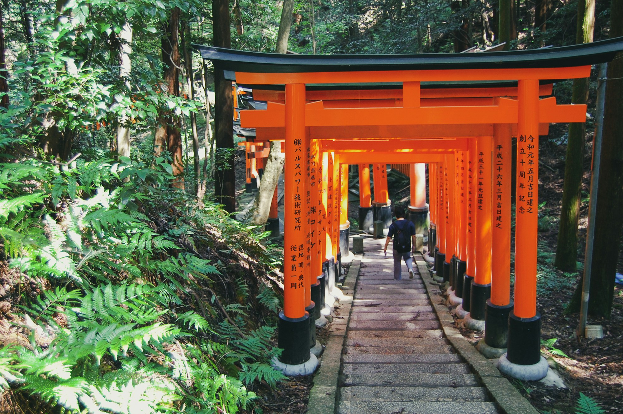 Red torii gates at Fushimi Inari in Kyoto, Japan, with visitors