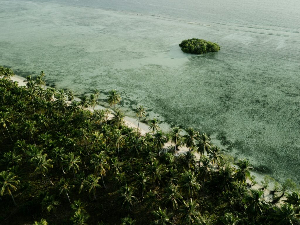 Côte tropicale avec palmiers et eaux cristallines dans le Pacifique Sud
