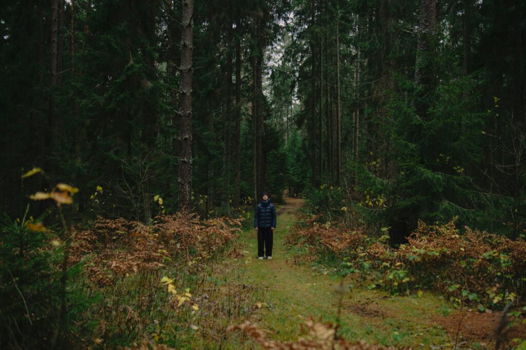 Personne se promenant dans une forêt dense et lumineuse pour pratiquer le shinrin-yoku