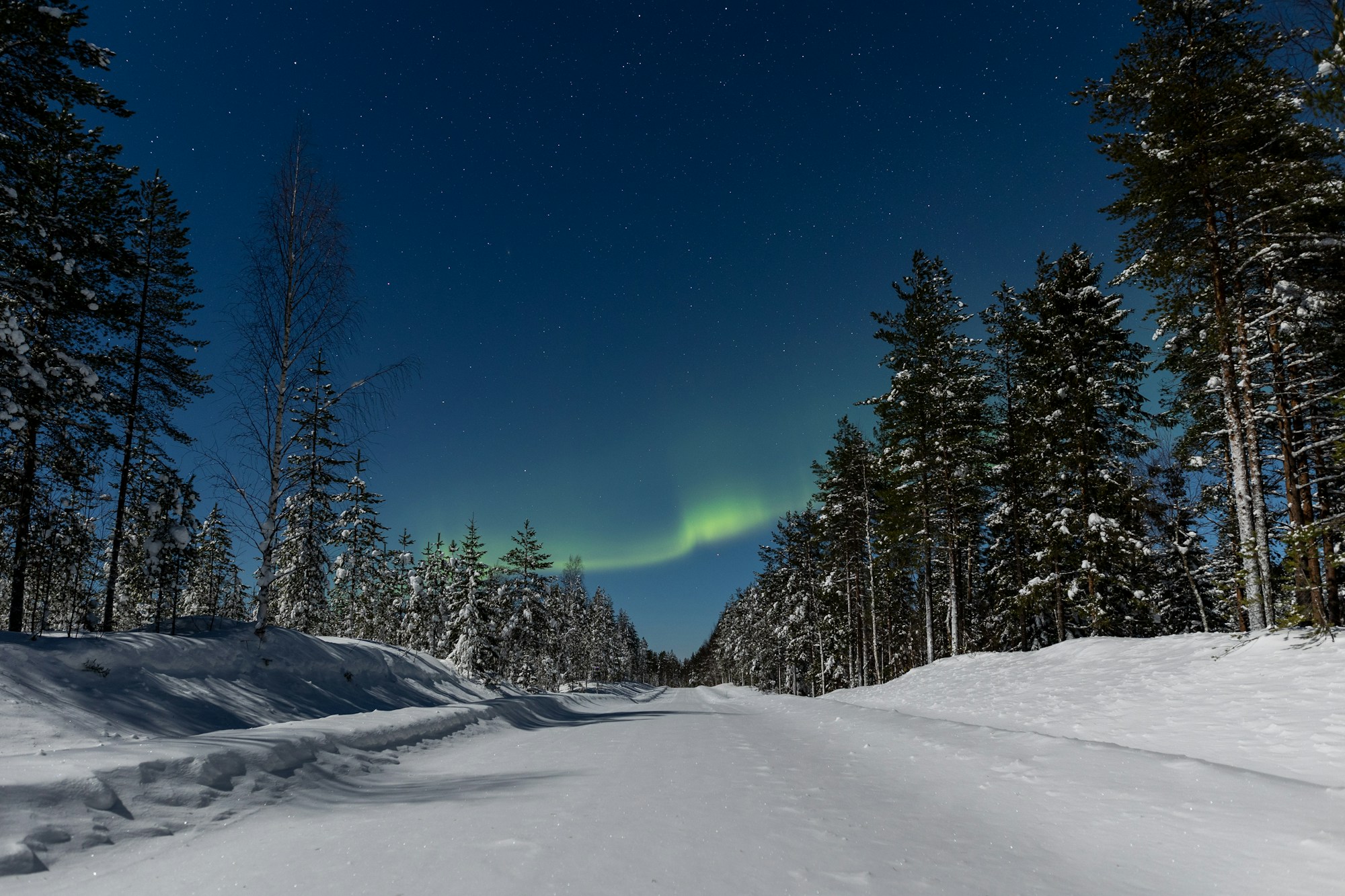 Aurora boreal sobre un bosque nevado de Laponia finlandesa en la noche