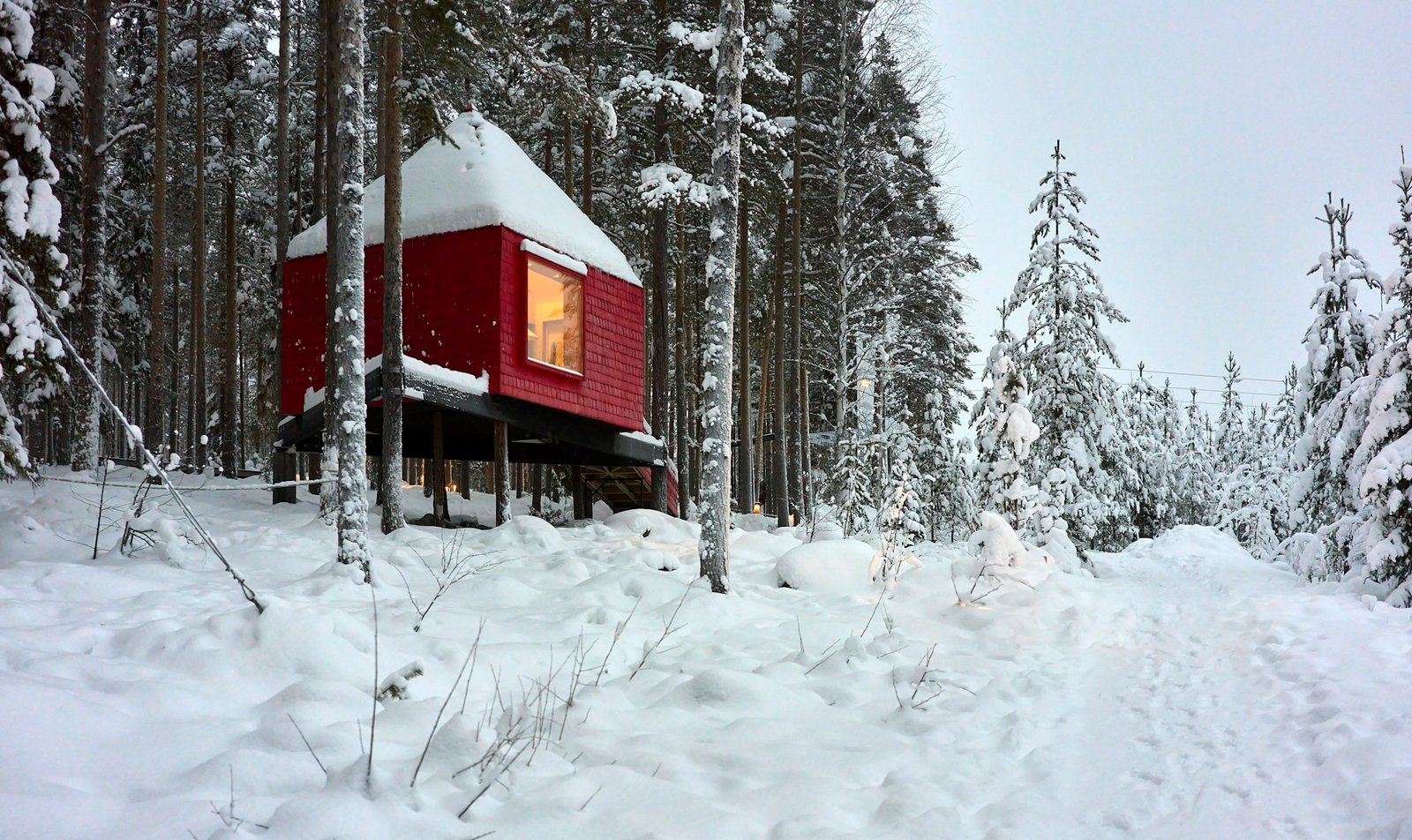 Wooden treehouse with open views of the Périgord forest, luxury unusual accommodation