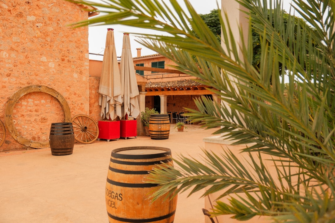 Cour intérieure avec tonneaux de vin en bois, ambiance chaleureuse de domaine viticole