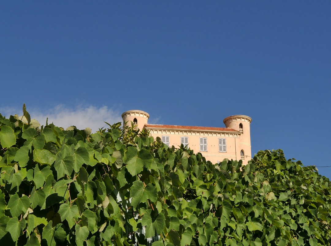 Demeure de charme dans le sud de la France, entourée de vignobles et de végétation méditerranéenne