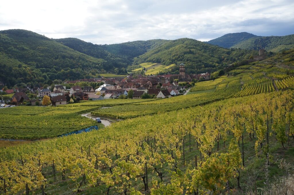 Château français entouré de vignobles, paysage oenotouristique