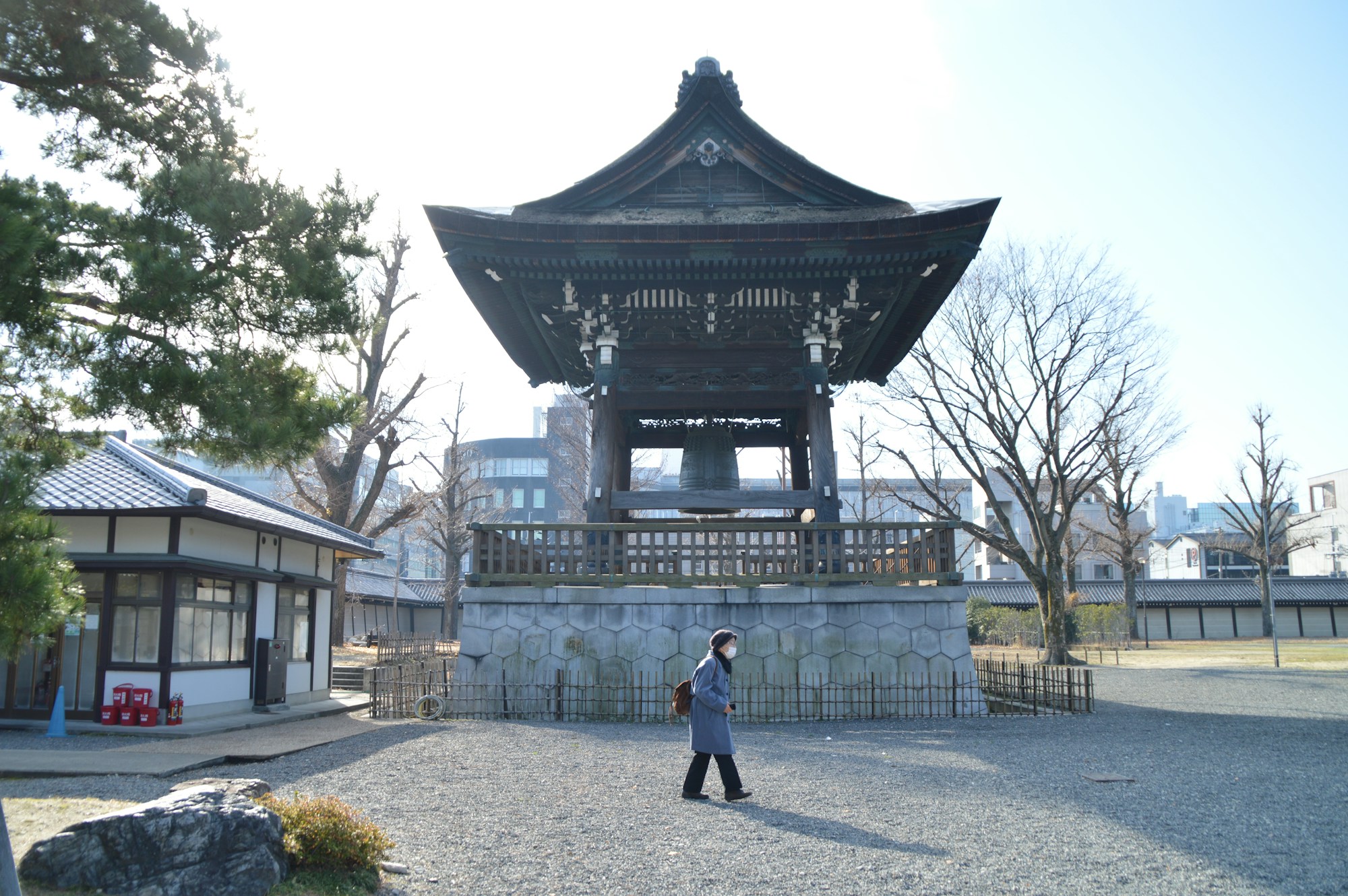 Temple japonais traditionnel entouré de cerisiers en fleurs au printemps