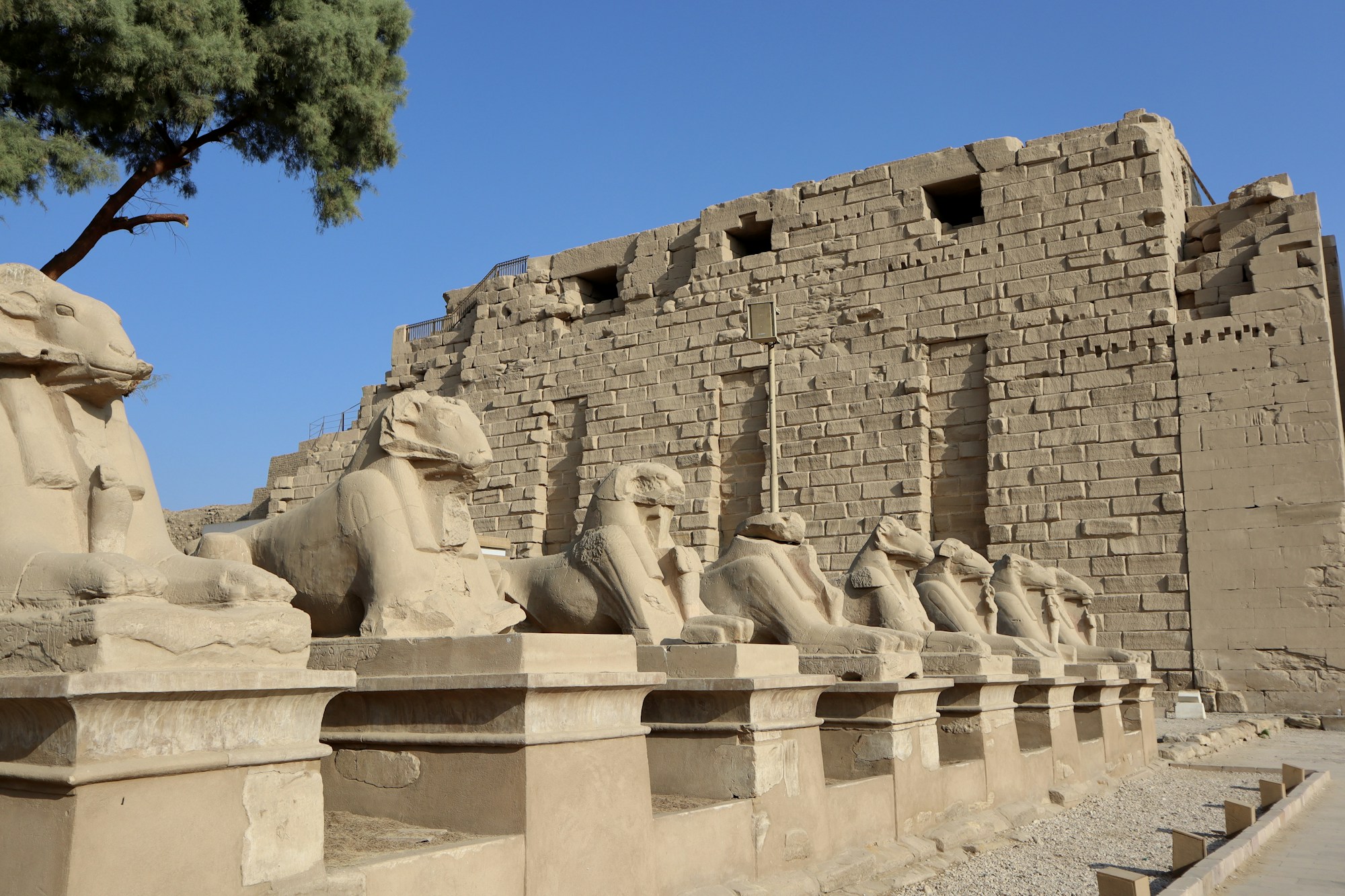 Statues de sphinx égyptiens au Grand Musée Égyptien du Caire — une destination stable pendant la crise du Proche-Orient 2026