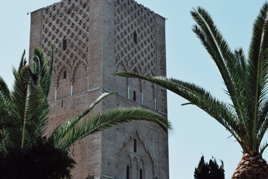 Tour Hassan et palmiers à Rabat, capitale du Maroc