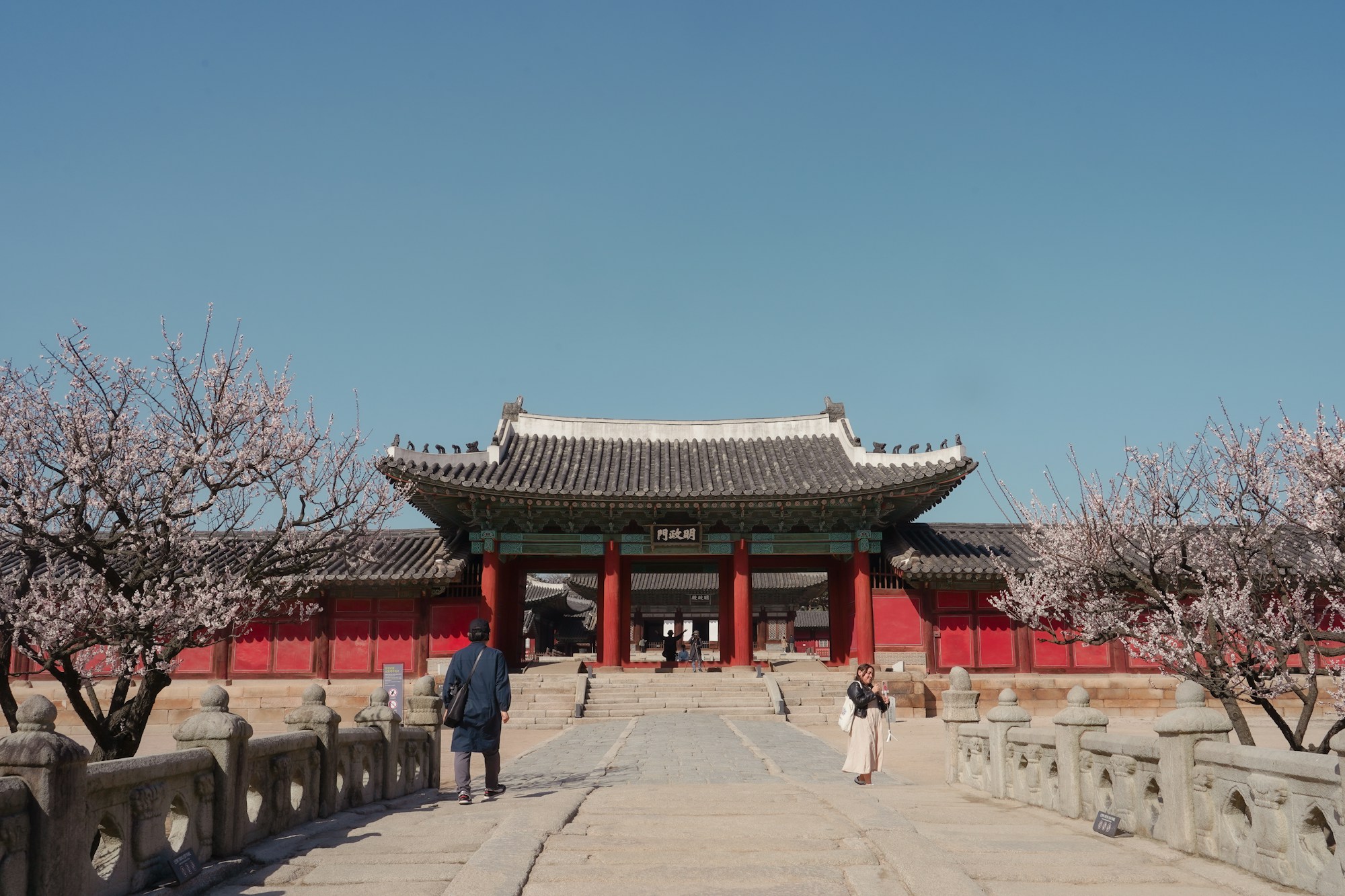 Palais Gyeongbokgung à Séoul, Corée du Sud, entouré de cerisiers en fleurs au printemps