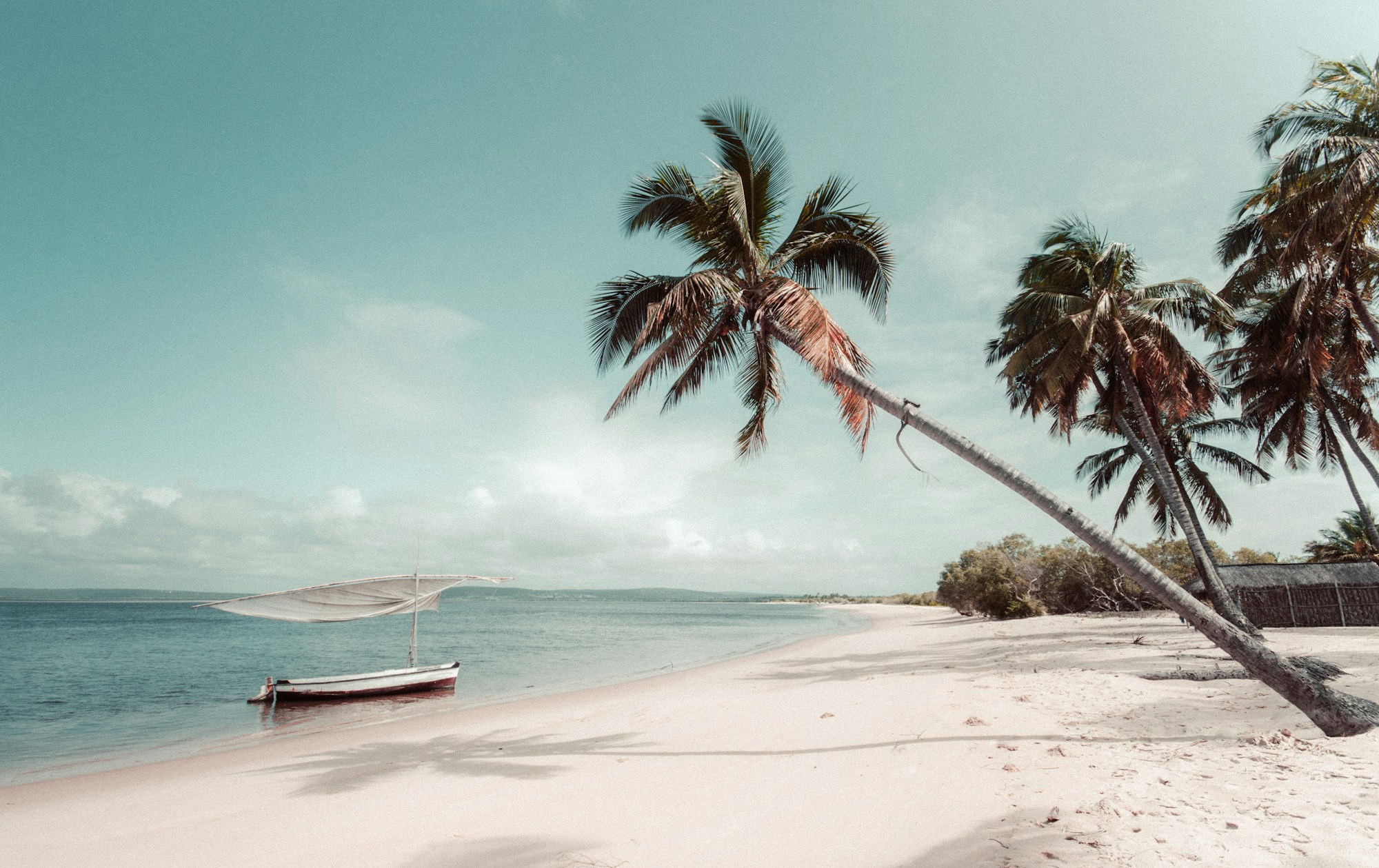 Plage tropicale vierge avec palmiers et eau turquoise sur la côte de l'océan Indien en Afrique