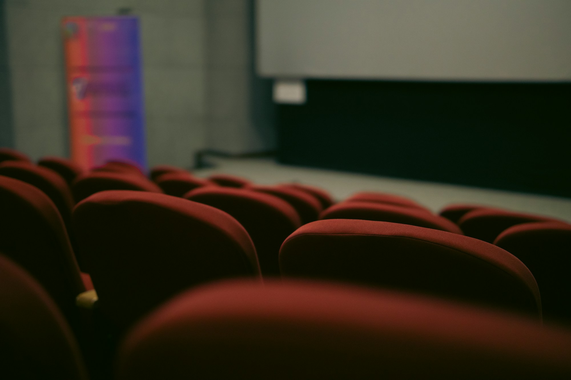 Public dans une salle de cinéma obscure regardant un film projeté sur grand écran