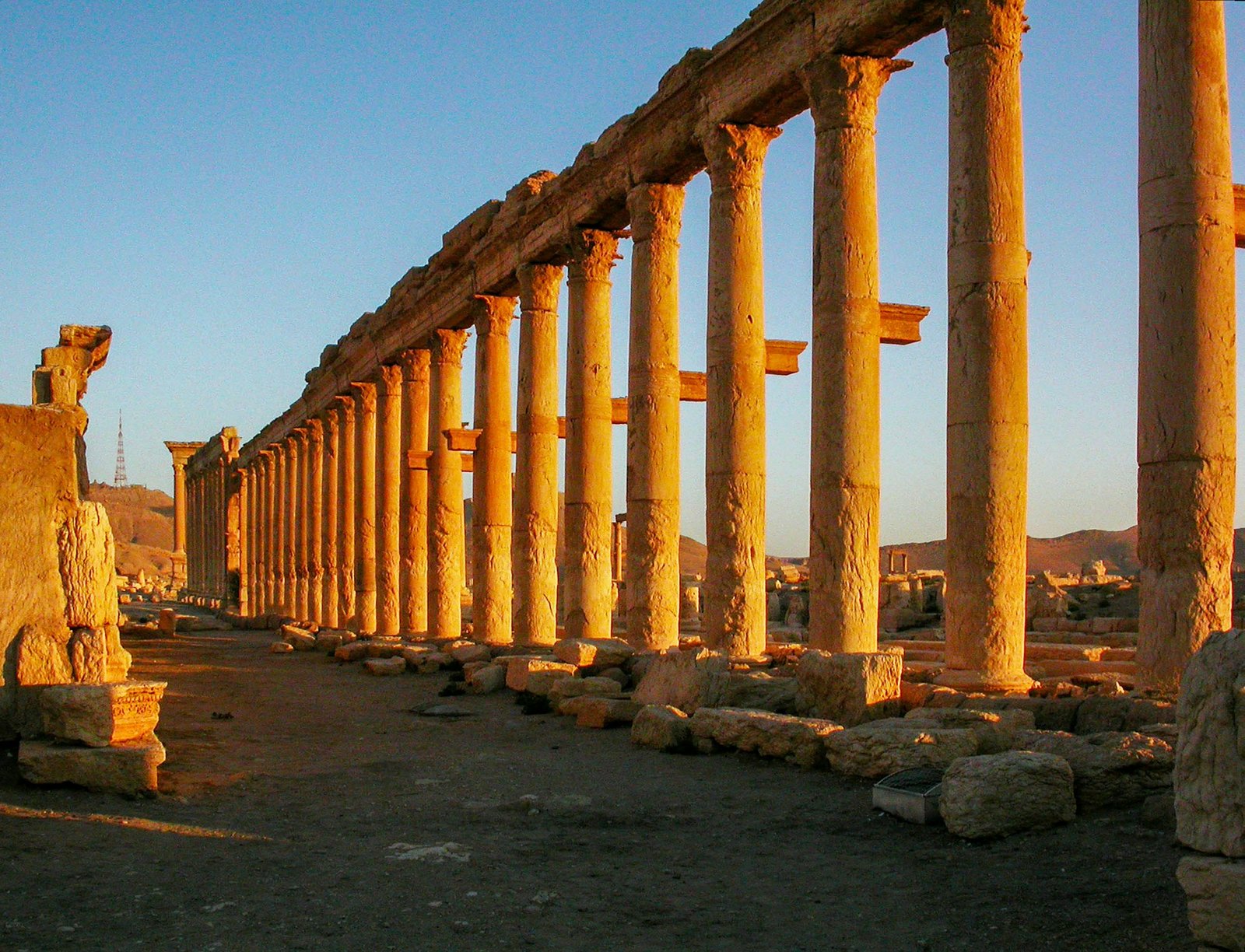 Ancient Roman columns at golden sunset, archaeological heritage site in the Middle East