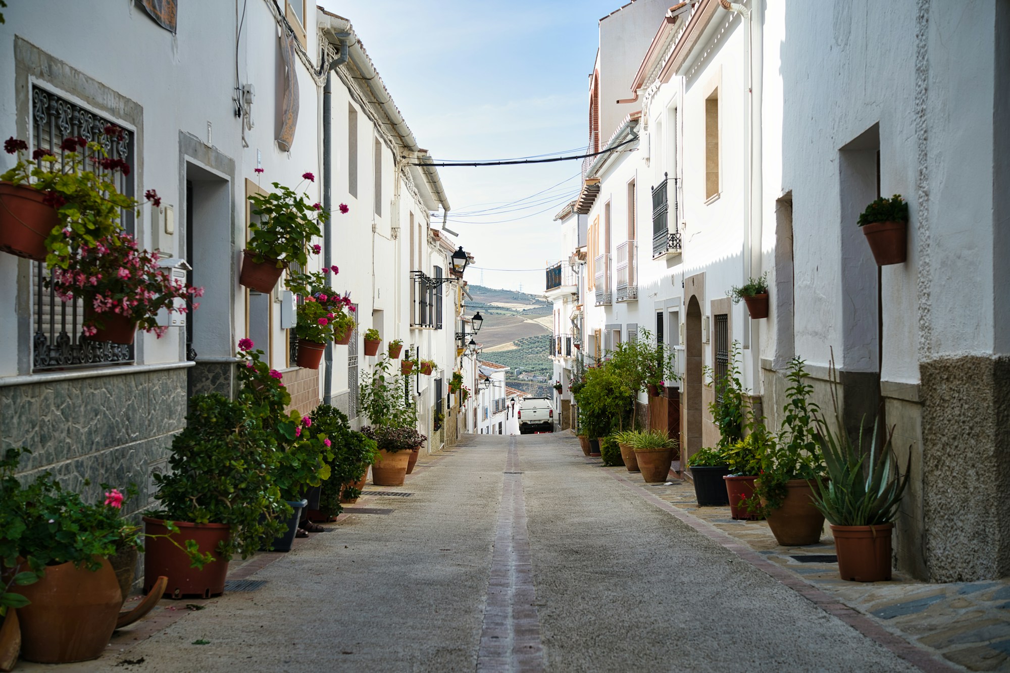 Ruelle typique de Córdoba bordée de macetas fleuries sur mur blanc