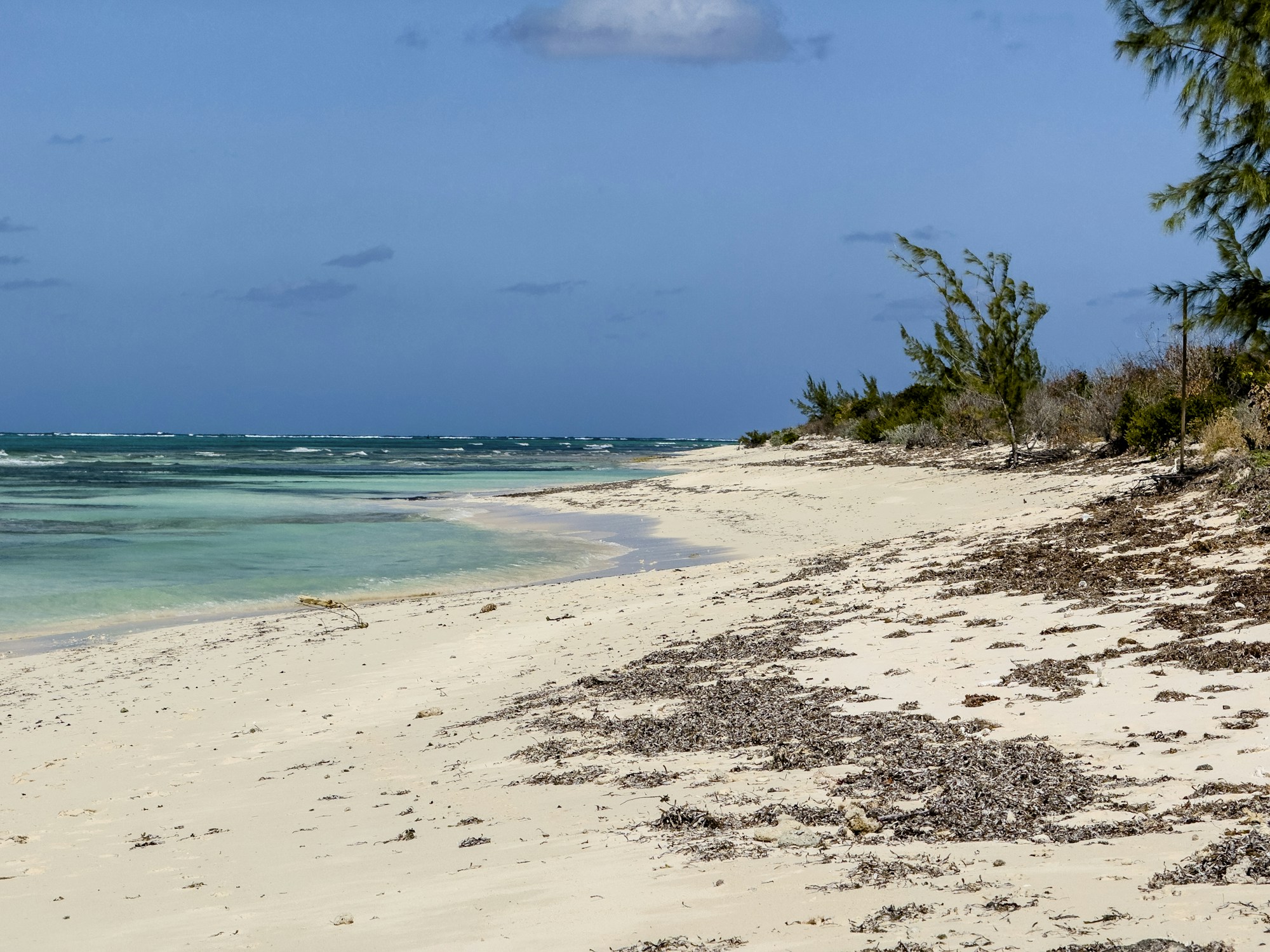 Plage de sable blanc aux eaux turquoise des Îles Turks et Caïcos