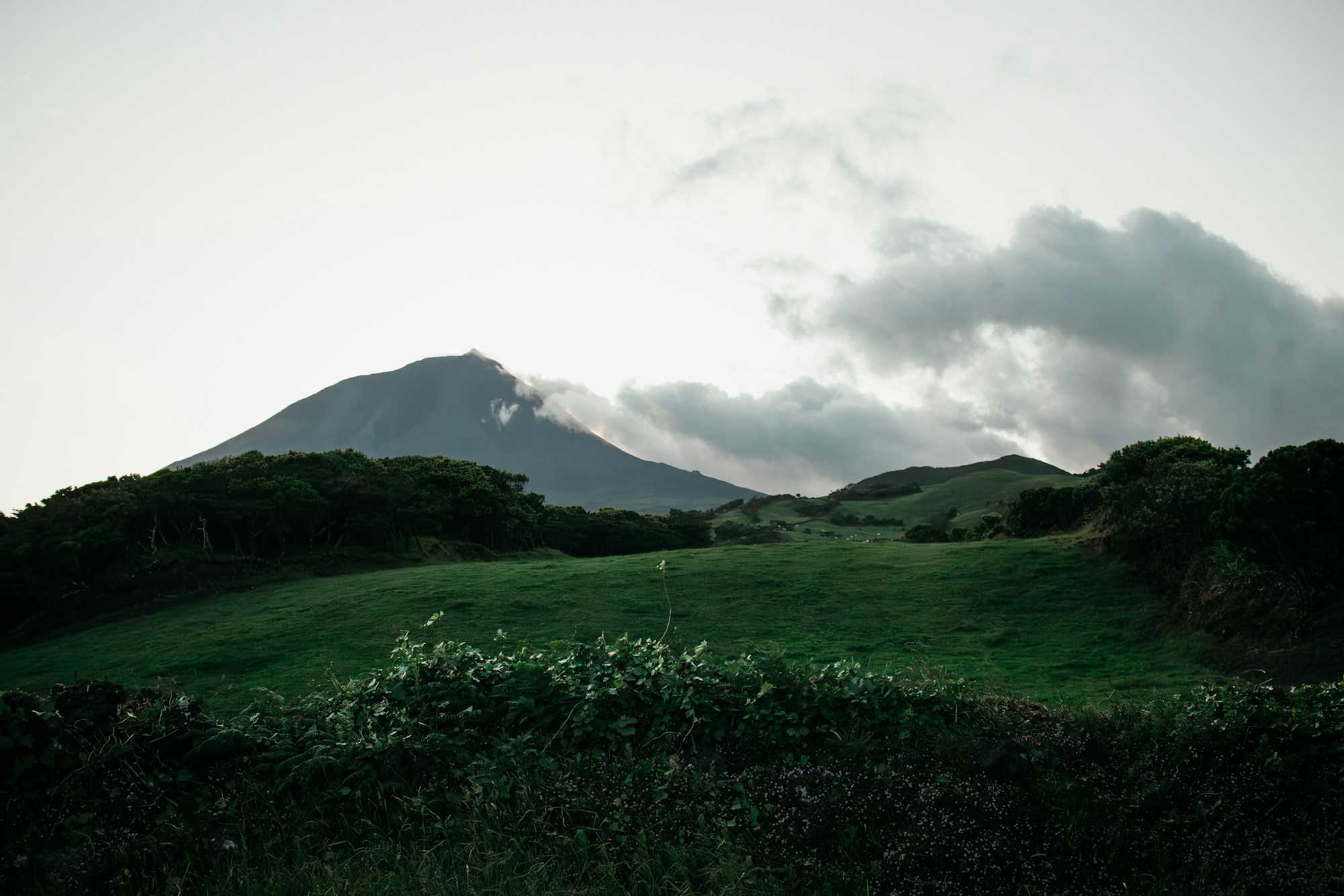 Île de Pico aux Açores avec le mont Pico au loin, paysage volcanique verdoyant