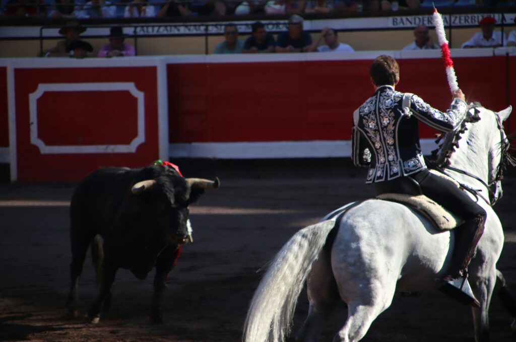 Cavalier en costume andalou traditionnel montant un cheval blanc lors de la Feria del Caballo de Jerez